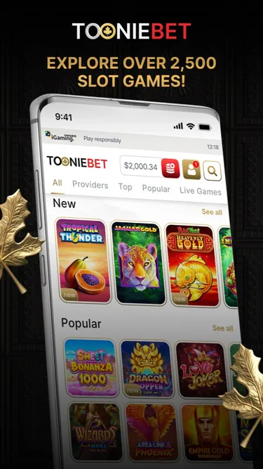 Tooniebet: Real Casino Screenshot