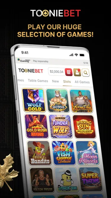 Tooniebet: Real Casino Screenshot